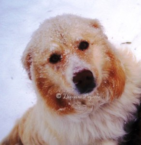 What are you waiting for?