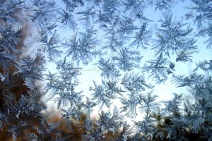 Frost - Home - November 22, 2011 542corresizecopyright