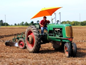 The Junior Ploughing Match is only one of the 4-H events that Brenda Dunster works on throughout any given year