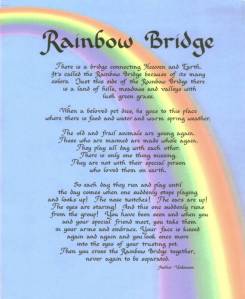 RainbowBridge_op_655x800 - from httpwww.illusionkennels.comRainbowBridge.html
