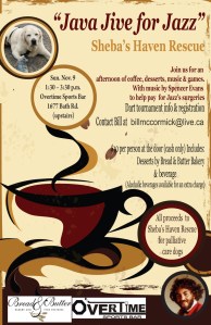 JavaJive updated JPG