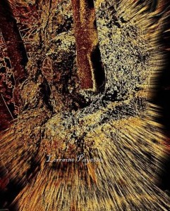 Oui!  Care!  Light a candle in the darkness